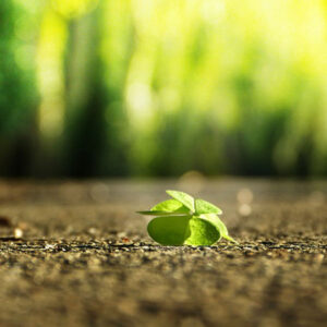 Taller de Autocuidado "Yo Elijo Cuidarme"